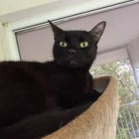 Photo of Tabitha