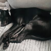 Photo of Mitchito
