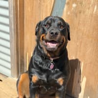 Photo of Bonnie