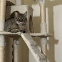 Photo of Aster Uffelman