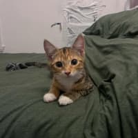 Photo of Jessica
