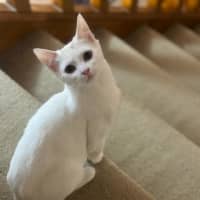 Photo of Luna