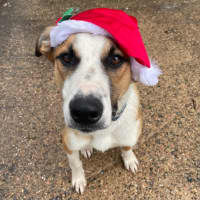 Photo of Rogue (Tuff)