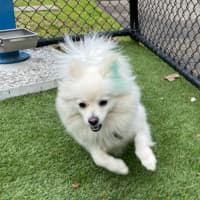 Photo of Snowy