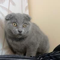 Photo of Narvi