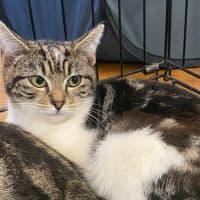 Photo of Jemima