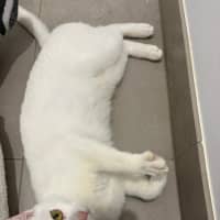 Photo of Yuki