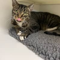 Photo of 🎮 Nippet 5903 🎮