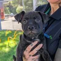 Photo of Zeus