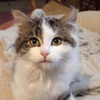 Photo of Stormy Von Bunny Bum 