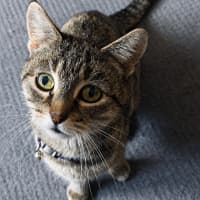 Photo of Mia
