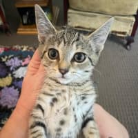 Photo of Evie