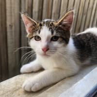 Photo of Churro
