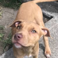Photo of Lulu