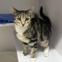 Photo of Kiki