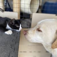 Photo of Edwina & Trixie