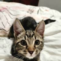 Photo of Mister Mason Munchy 