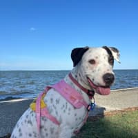 Photo of Matilda