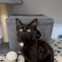 Photo of Nora
