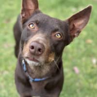 Photo of Billie Jean