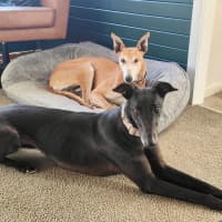 Photo of Jared (Jezza)