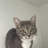 Photo of Molly