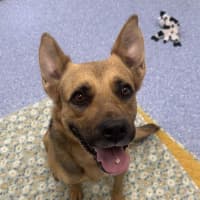 Photo of Luna