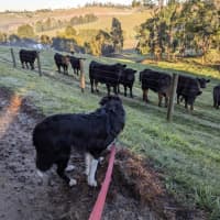 Photo of Finn Quinell