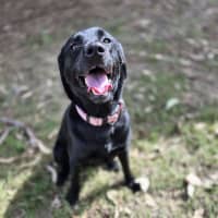Photo of Emery