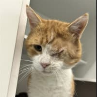 Photo of Captain Winnie