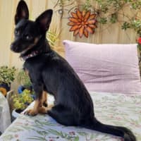 Photo of Henry! Loving, Happy Family Boy 