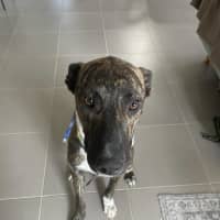 Photo of Jax
