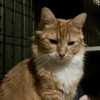 Photo of Zara And Leo