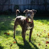 Photo of Benny Lozano