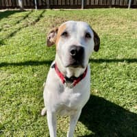 Photo of Lola