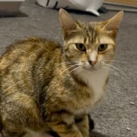 Photo of Tia Torrens