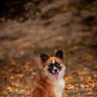 Photo of Arlo
