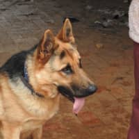 Photo of Odin