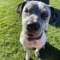 Photo of Ghost