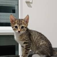 Photo of Winston 2 