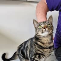 Photo of C1347 Jebadiah