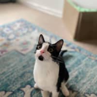 Photo of Boots