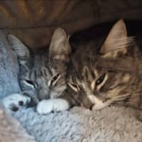 Photo of Ruth And Wyatt 