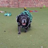 Photo of Billy
