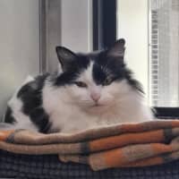 Photo of Winnie