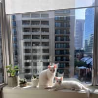 Photo of Parsnip & Yam