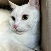 Photo of Jasper 