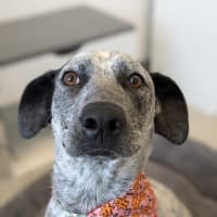 Photo of 🎀 Monica 5585 🎀