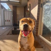 Photo of Shadow