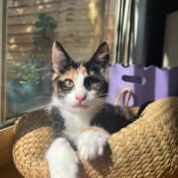 Photo of Katie